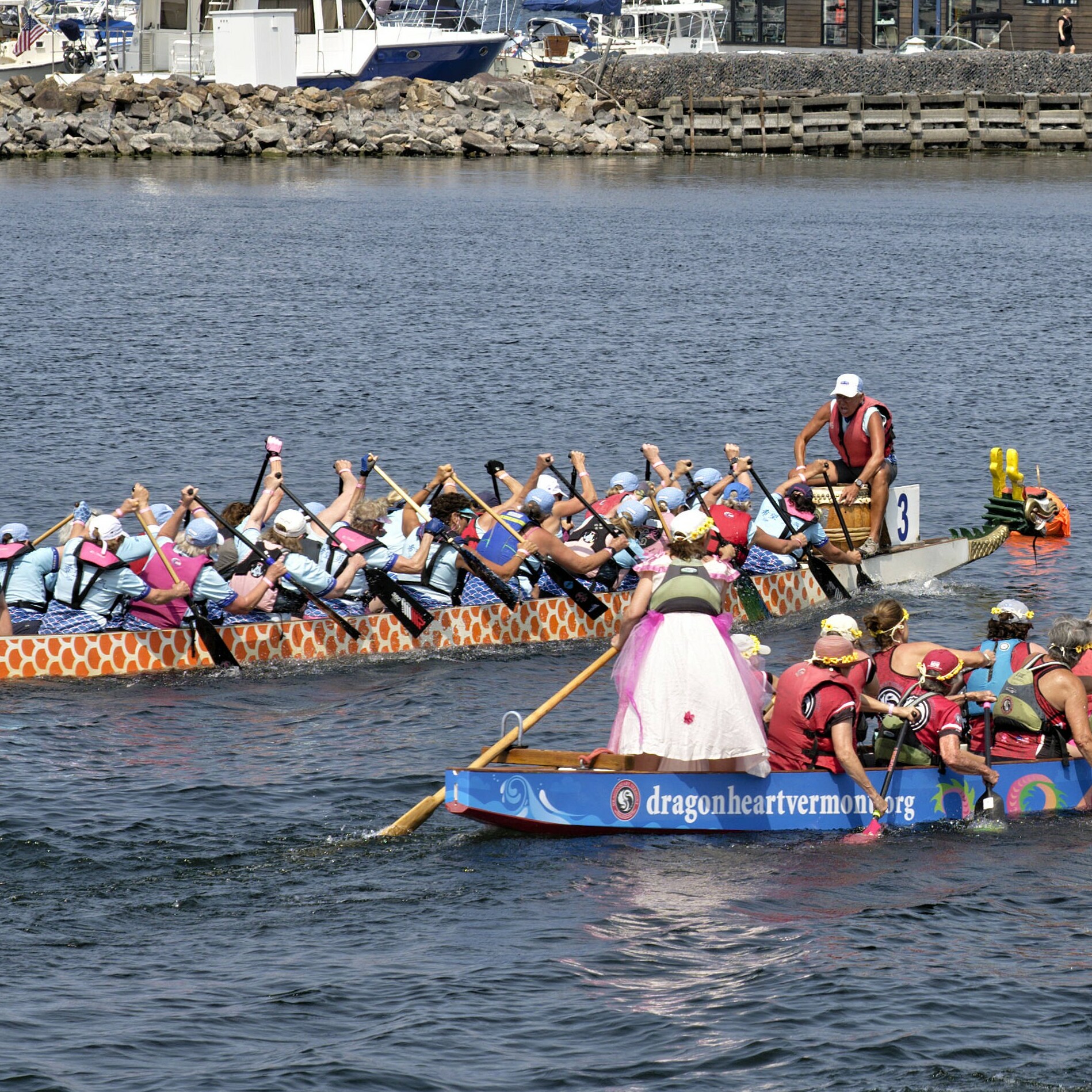 Dragon boat teams race on a calm waterway, showcasing paddling and colorful boats.